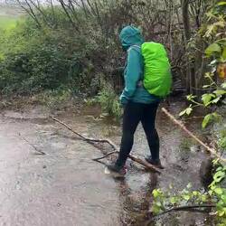 Übers Wasser laufen für Dummies - Pt. I