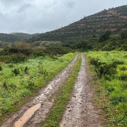 Regen bringt Segen... Und nasse Füße🤷🏼‍♀️
