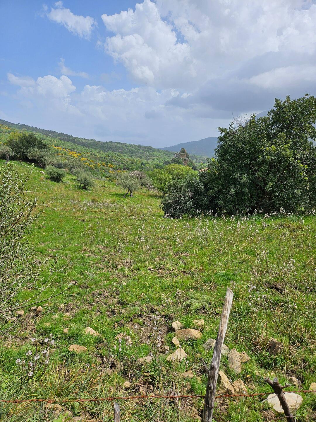 Auf dem Felsen steht eine Ruine, die passt gerade so drauf