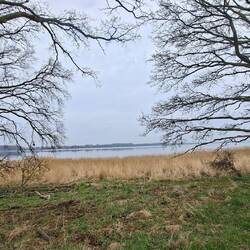 Ein Blick auf die Schlei