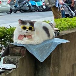 A popular tourist attraction where we were wandering. Probably drugged...