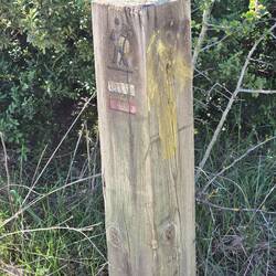 A very faded yellow arrow. Good thing I had an app or we would have been lost twice today!