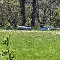 Bathtubs being used to water livestock.