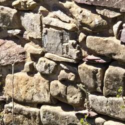 Look close to see the green lizard.