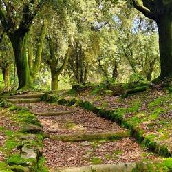 Der Park in der Altstadt
