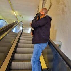Hunde dürfen nicht auf die Rolltreppe... 😅