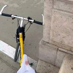 vorher bin ich über die Margariteninsel gefahren ◡̈