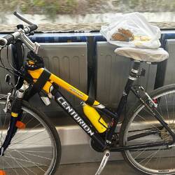 sicher angeschnallt!