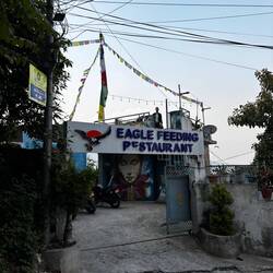 Ah j'ai trouvé la raison (Les gens lancent de la nourriture pour oiseau en l'air ici)