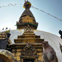 Trouverez-vous la différence avec la photo précédente?