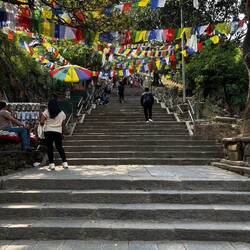 365 marches l'escalier