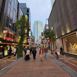 Shinjuku Viertel