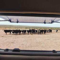 Übernachtungsplatz - Besuch