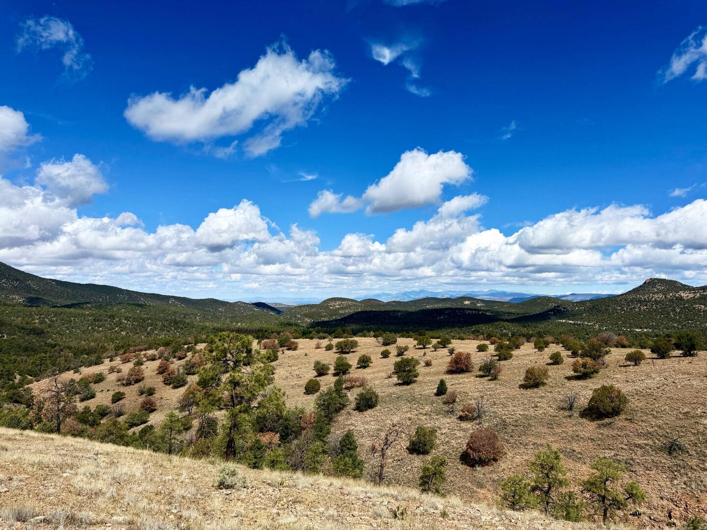 Was für eine Aussicht!