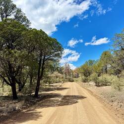 Kurz nach Beginn der Gia-Alternativroute, für die ich mich wie die meisten Hiker entschieden habe.