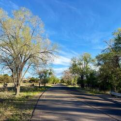 Der Weg führte am Morgen auf einer asphaltierten Strasse aus Silver City hinaus.
