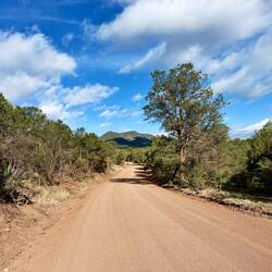 Nach etwa einer Stunde ging der Weg in eine Schotterstrasse über.