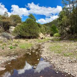 Ein Fluss mit fliessendem Wasser! 😳