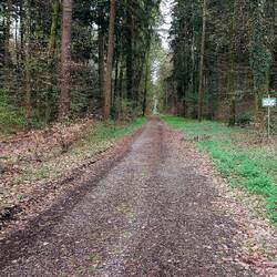 2 km geradeaus 😅