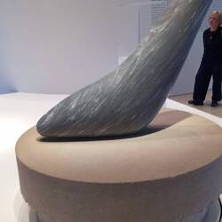 Brancusi: Seehund