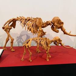 Die sizilianischen Zwergelefanten lebten vor ca 200000 Jahren hier
