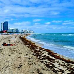 Miami Beach
