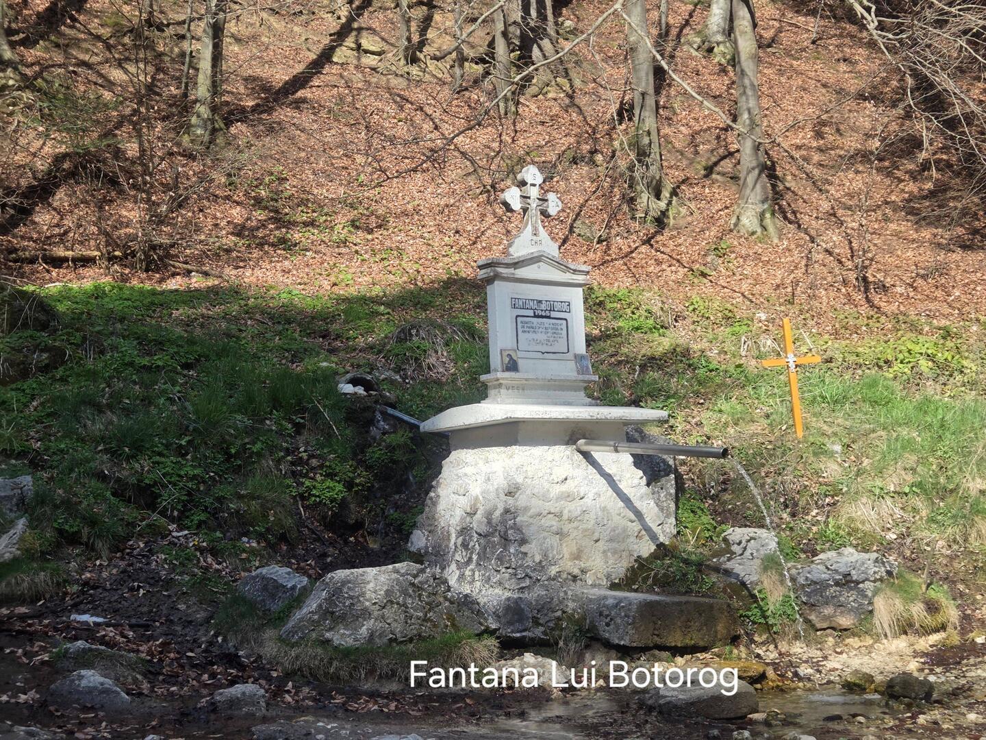 Fontana Lui Botorog