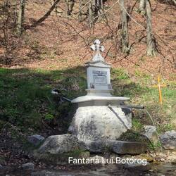 Fontana Lui Botorog