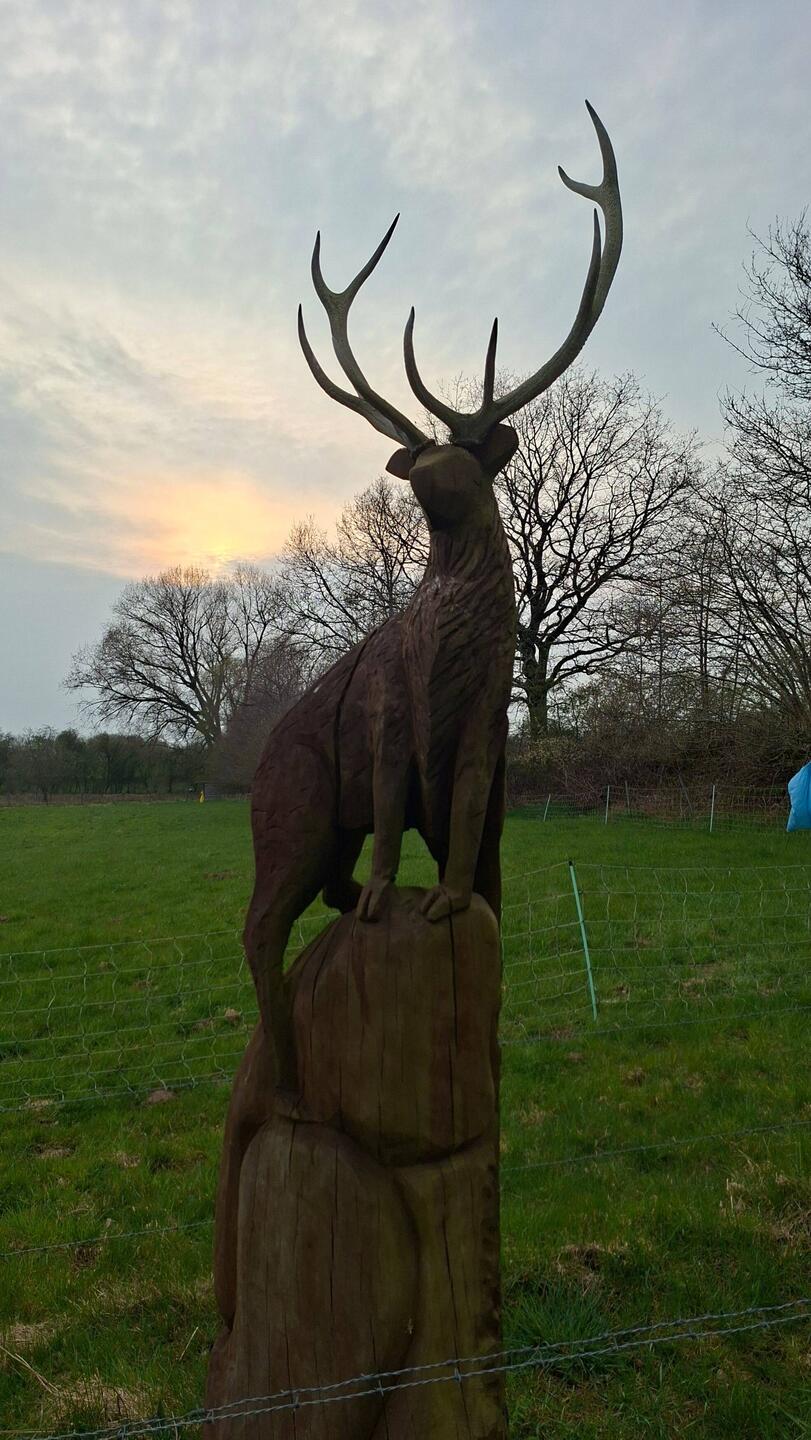 Bewacher der Schlafstätte