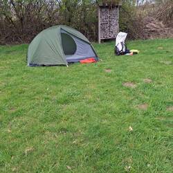 Wildes Schleswig-Holstein bei Kosel