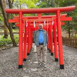 Torii gates