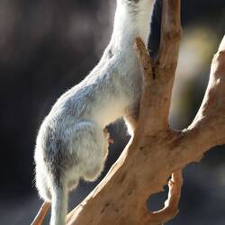 Gestern. Hab ihn erst gar nicht erkannt 😅