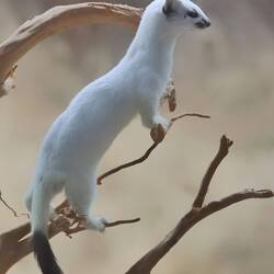 9. April, an den Augen sieht man schon ein bisschen