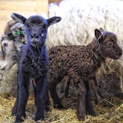 Erst 6h alt und schon total aktiv 🤗