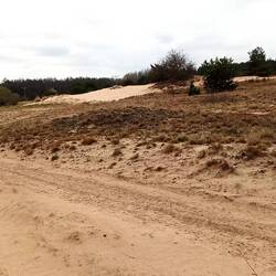 Wanderdünen