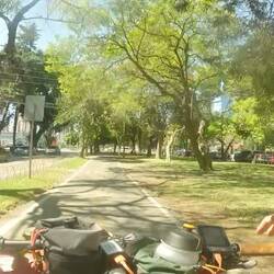 Cycling lane through the nicer area