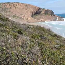West Beach