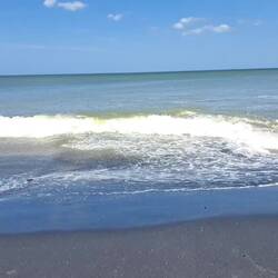 I think this is a riptide.