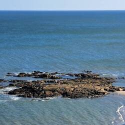 Low tide: view of that coral structure from above, & the point where the video was taken.