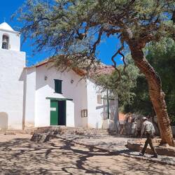 Kirche von Purmamarca; Dachstuhl und Kirchenbänke sind aus Kaktusholz