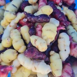 Wir erstehen Kartoffeln; Geschmack wässrig