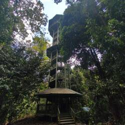 Turm am Skywalk (27m)
