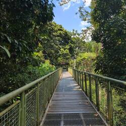 Skywalk