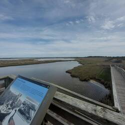 Wildbeobachtungsplattform, außer 1 Vogel nada.