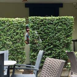 Pool-Wasserschlacht wurde eröffnet!