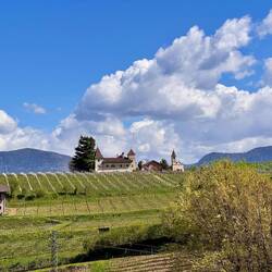 bekannt aus dem Bozen Krimi