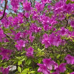 Es ist auch super grün drin