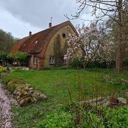 Magnolienblüte vor Geheimtipp