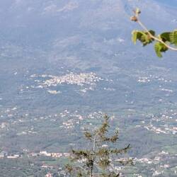Looking back at Alatri