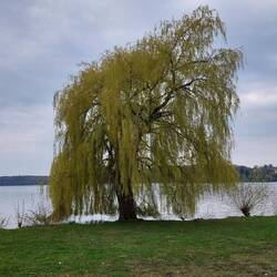 Der Küchensee bei Ratzeburg